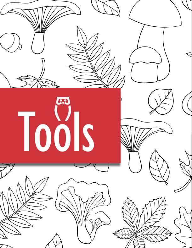 What Guides and Directs our Practice? - August 2023